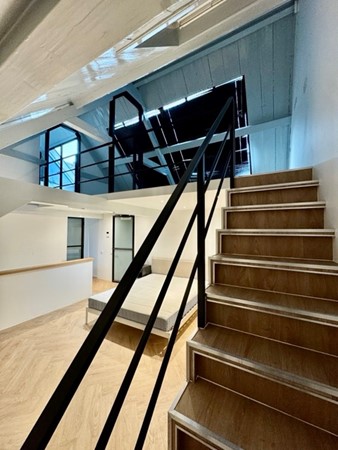 IMG_1264 2 Medium.jpeg